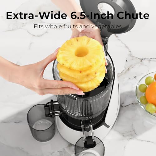 3-in-1 Cold Press Juicer with 6.5" Large Feed Chute, Juice, Nut Milk & Sorbet Maker