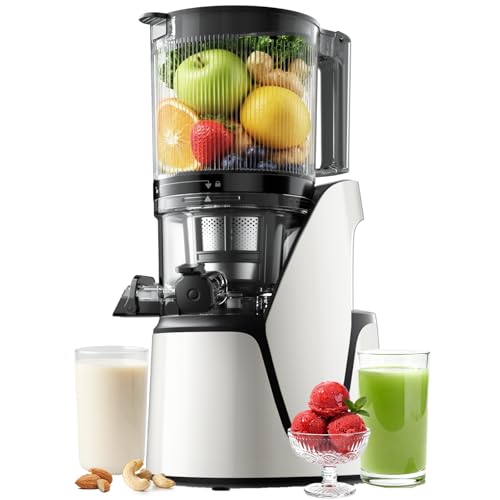 3-in-1 Cold Press Juicer with 6.5" Large Feed Chute, Juice, Nut Milk & Sorbet Maker