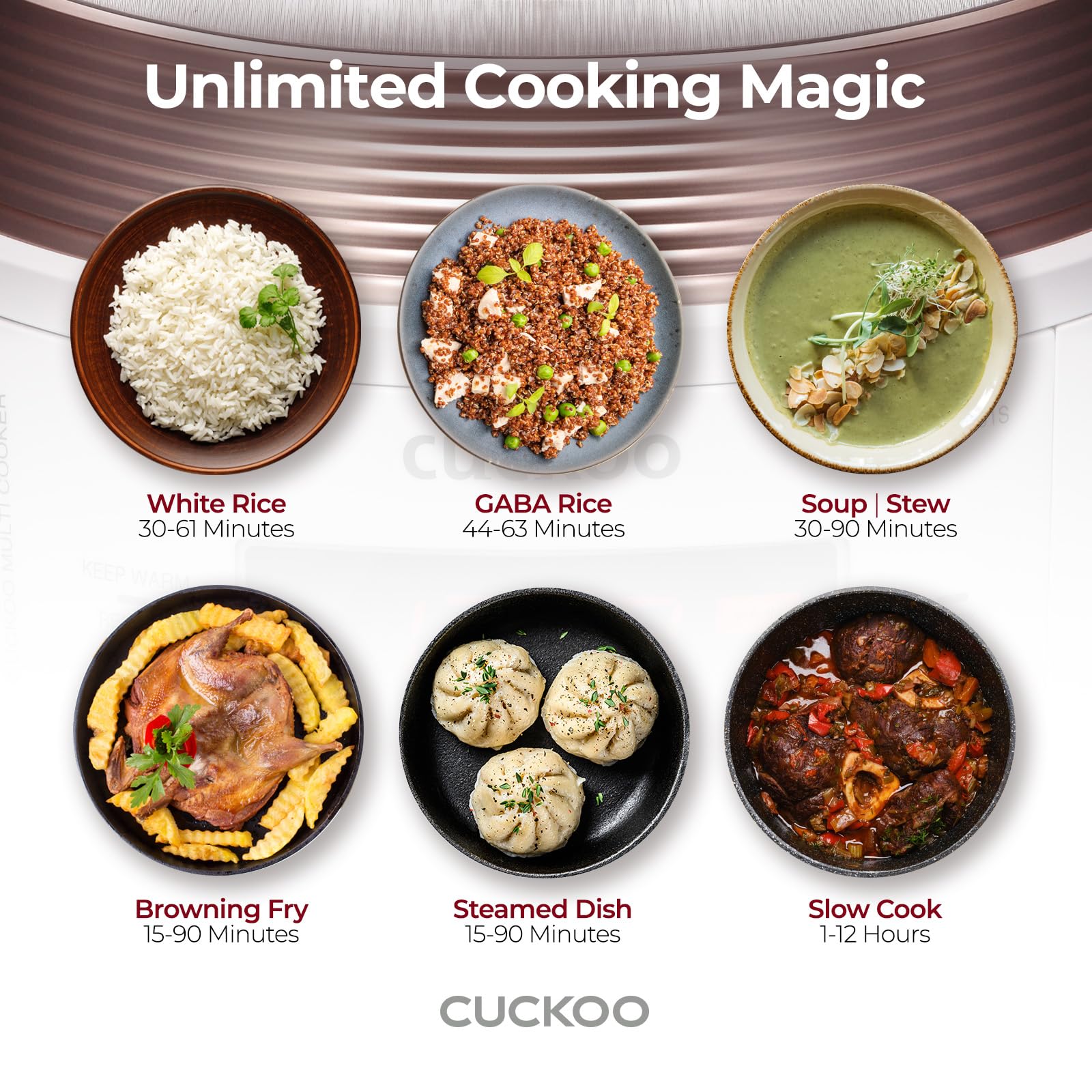 8-in-1 Multi Pressure Cooker with Rice, Slow Cook, Steam & Yogurt Functions
