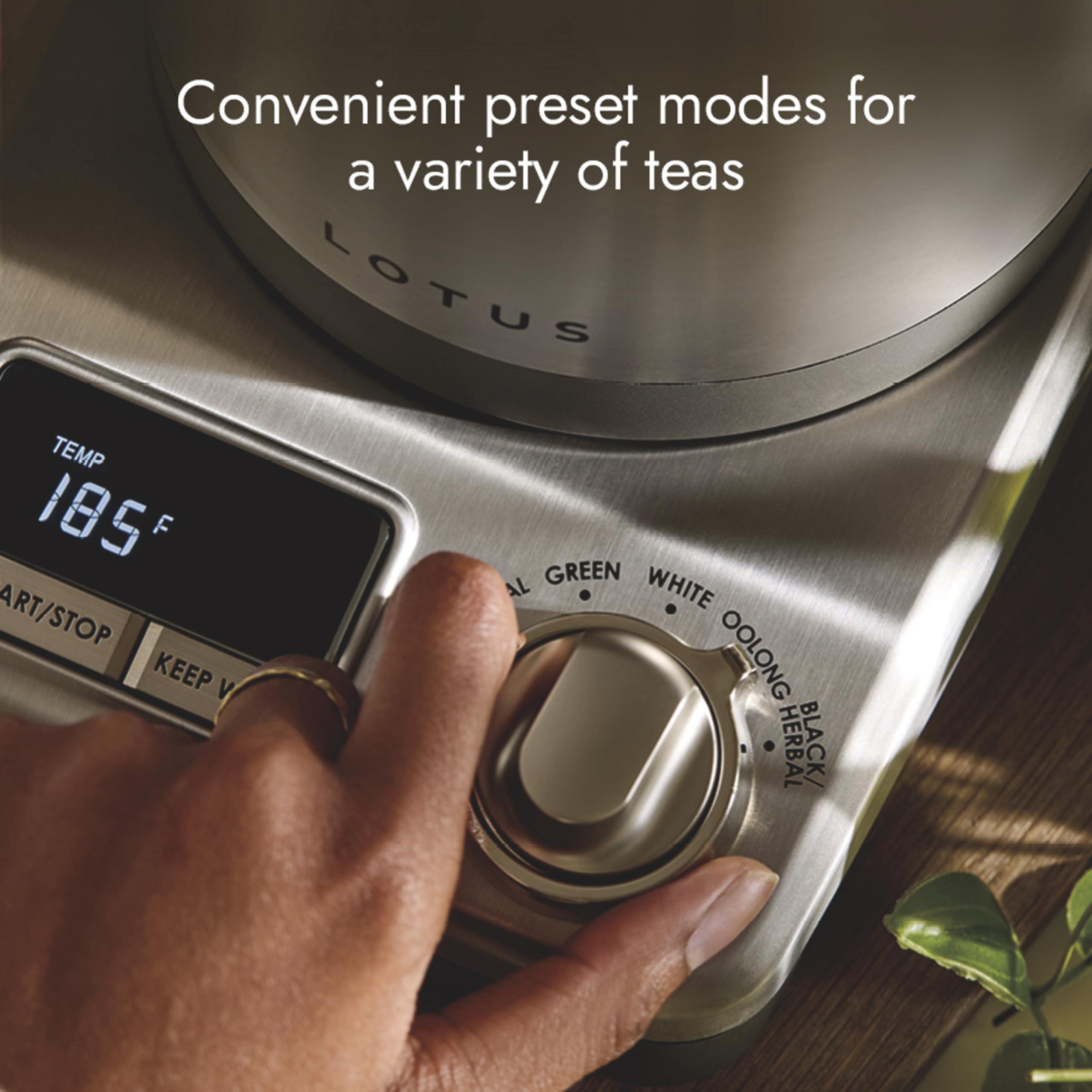1.5L Stainless Steel Electric Tea Kettle 1500W Professional Series