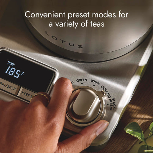 1.5L Stainless Steel Electric Tea Kettle 1500W Professional Series